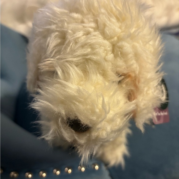 LIVING NATURE FRIEND FOR LIFE. - Picture 2 of 5